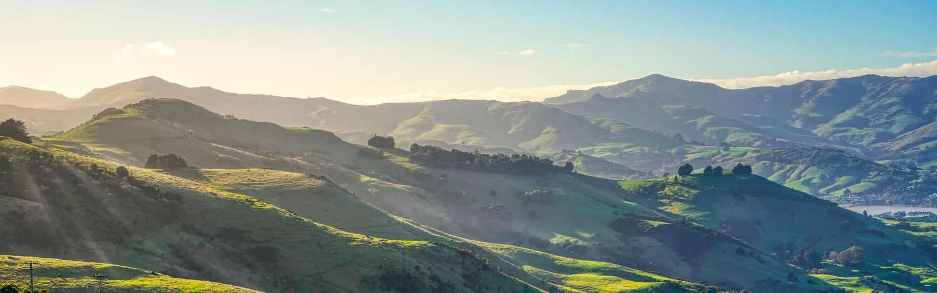 10 Day Signature South Island