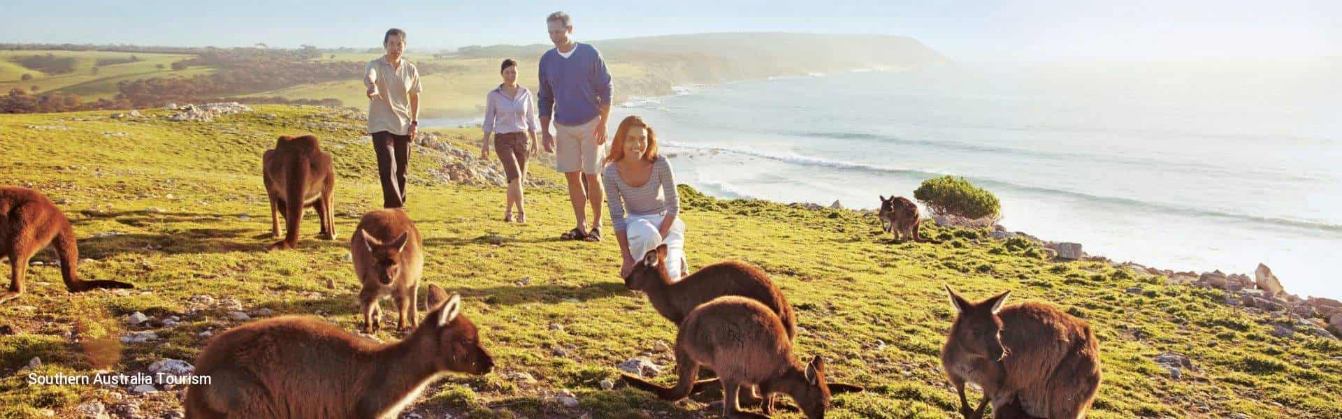 Coastal Cities and Wild Wonders: A 12-Day Australian Escape