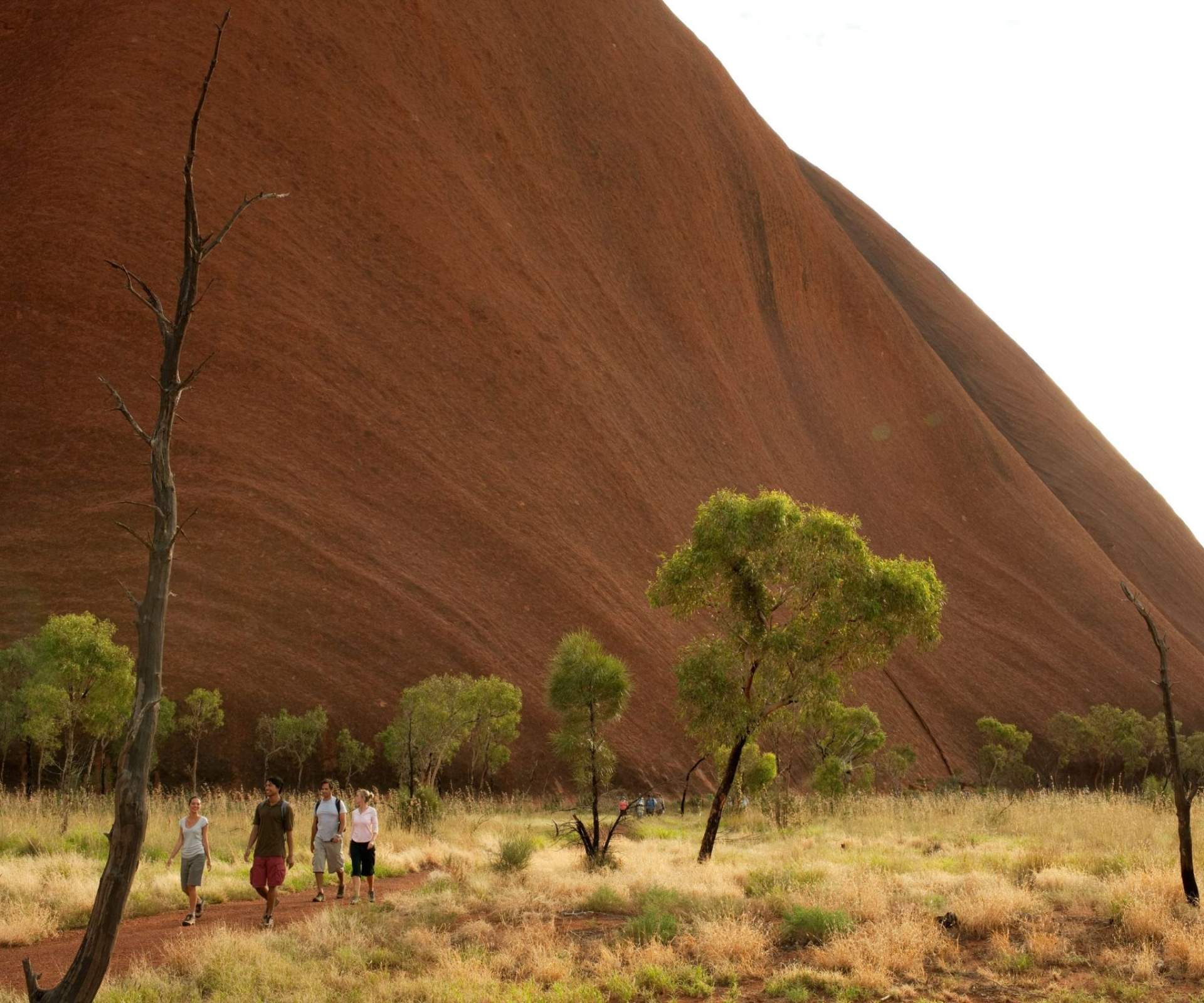 Australia’s North and Reef Cultural Explorer