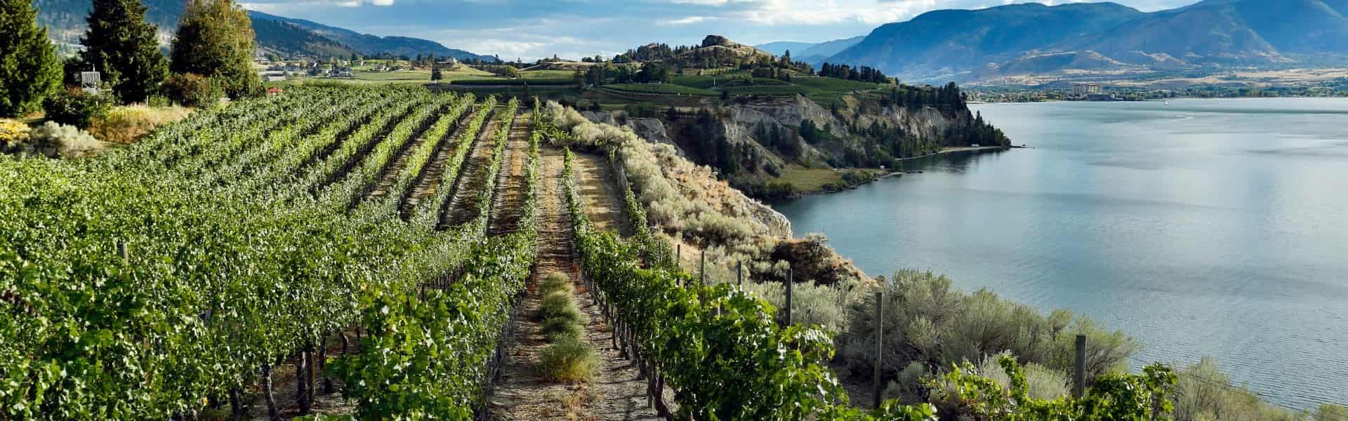 Okanagan Wine Trail Experience