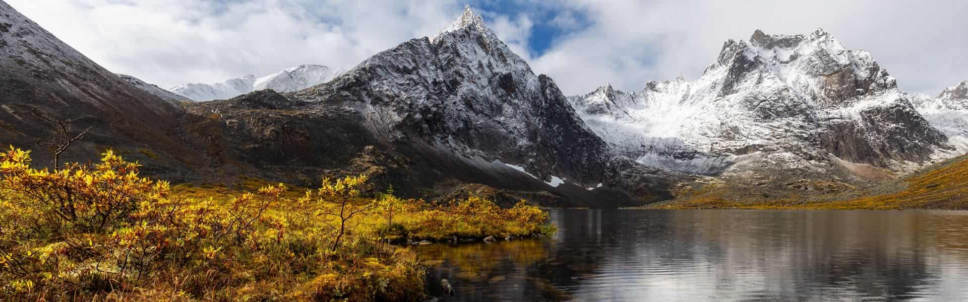 Grizzlies, Glaciers, Road Adventures