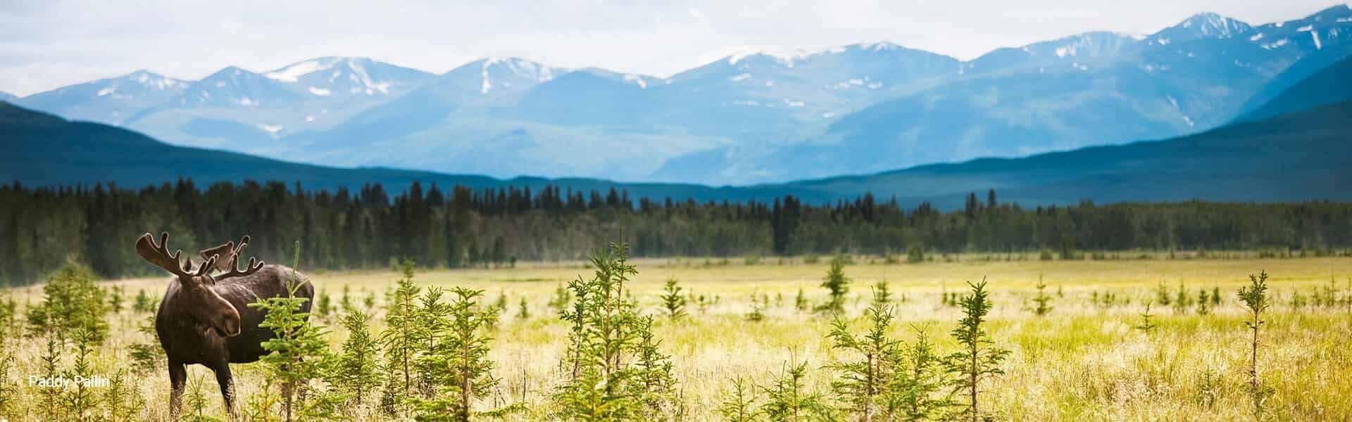 Arctic Travel