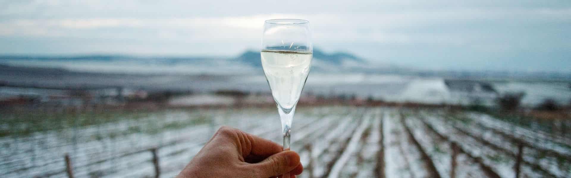 5-Day Winter Wineries at Niagara-on-the-Lake